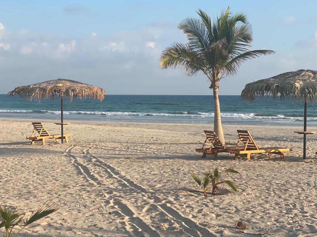 Segal Salalah-Forest Island-Hawana Esterno foto