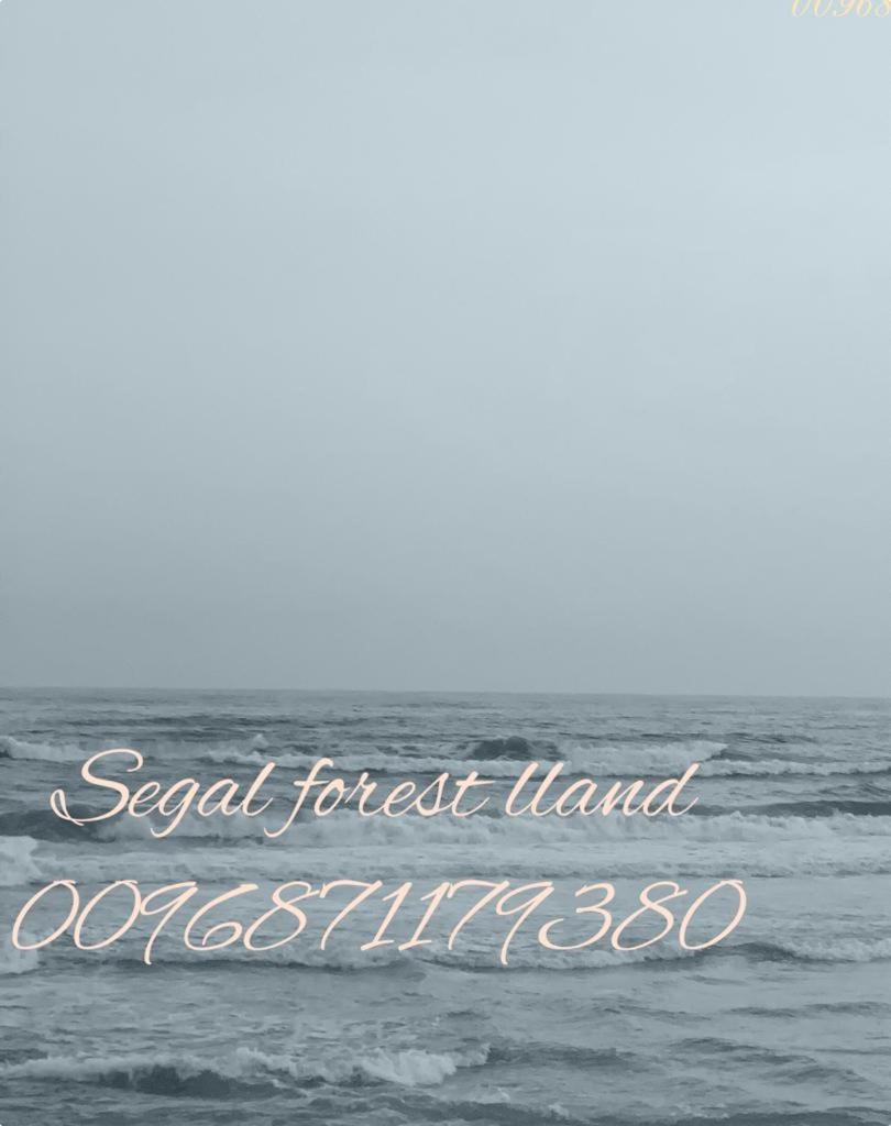 Segal Salalah-Forest Island-Hawana Esterno foto